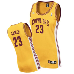 Cleveland Cavaliers #23 Lebron James Womens Swingman Alternate Gold Jersey