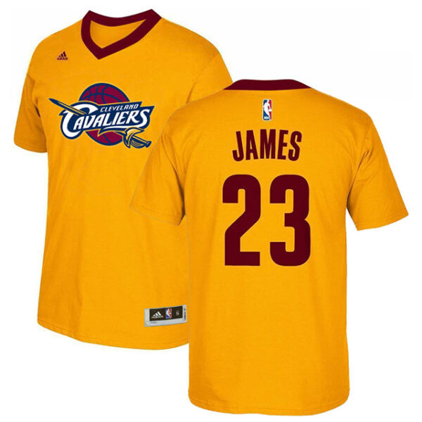 Lebron James Cleveland Cavaliers #23 Short Sleeves New Swingman Gold Jersey