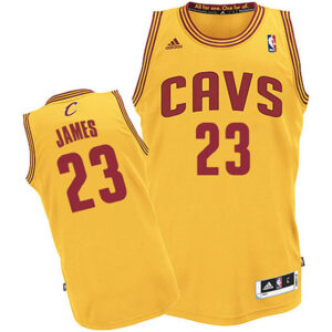 Youth Cleveland Cavaliers #23 Lebron James CAVS Revolution 30 Swingman Alternate Gold Jersey